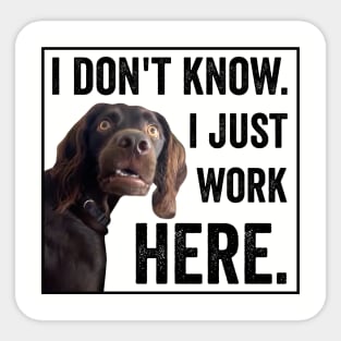 I Dont Know I Just Work Here Funny Confused Dog Meme Sticker